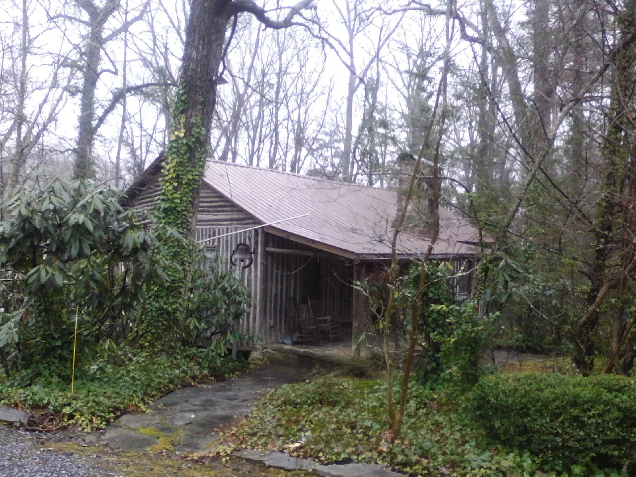 Weathered metal roof on an old board sided cabin in the woods in La Push