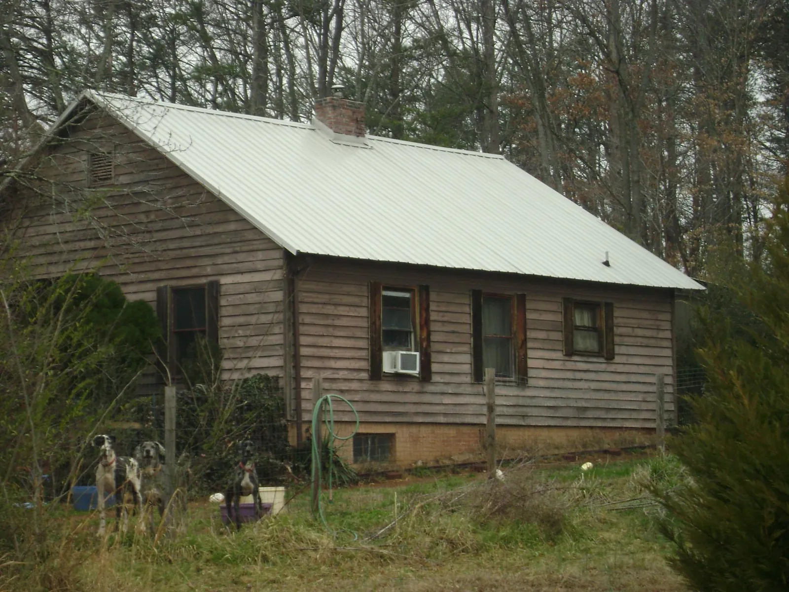 White metal roof on an old wood sided farmhouse, from a Metal Roof Installation job in La Push